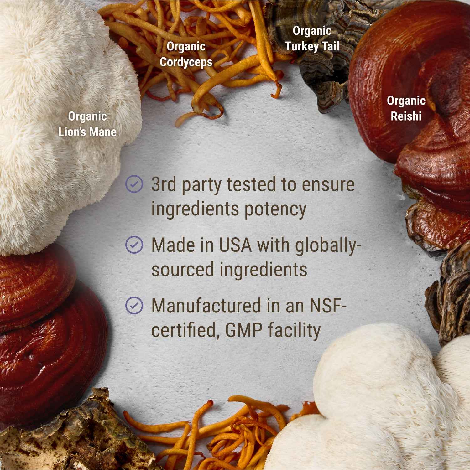 Lion's Mane + Mushroom Blend - Image 5